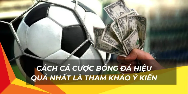 Cách cá cược bóng đá hiệu quả nhất là tham khảo ý kiến