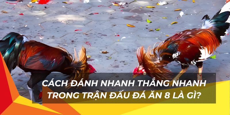 Cách đánh nhanh thắng nhanh trong trận đấu đá ăn 8 là gì?