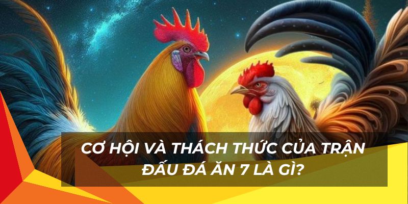 Cơ hội và thách thức của trận đấu đá ăn 7 là gì?