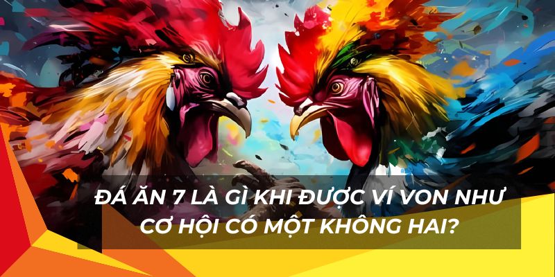 Đá ăn 7 là gì khi được ví von như cơ hội có một không hai?