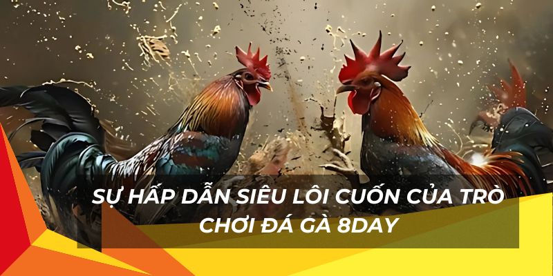 Sự hấp dẫn siêu lôi cuốn của trò chơi đá gà 8day 