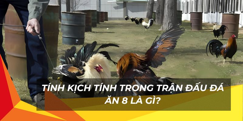 Tính kịch tính trong trận đấu đá ăn 8 là gì?