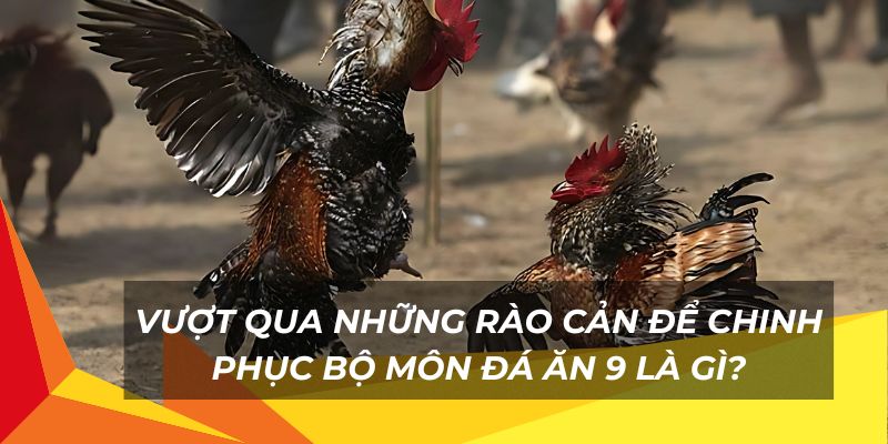 Vượt qua những rào cản để chinh phục bộ môn đá ăn 9 là gì?