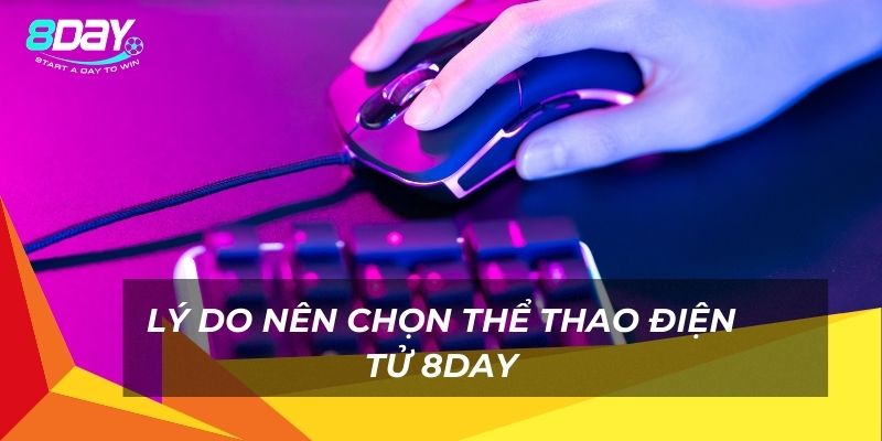 Lý do nên chọn thể thao điện tử 8day